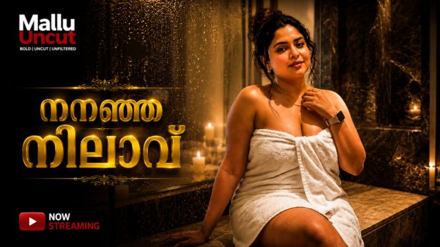 നനഞ്ഞ നിലാവ്